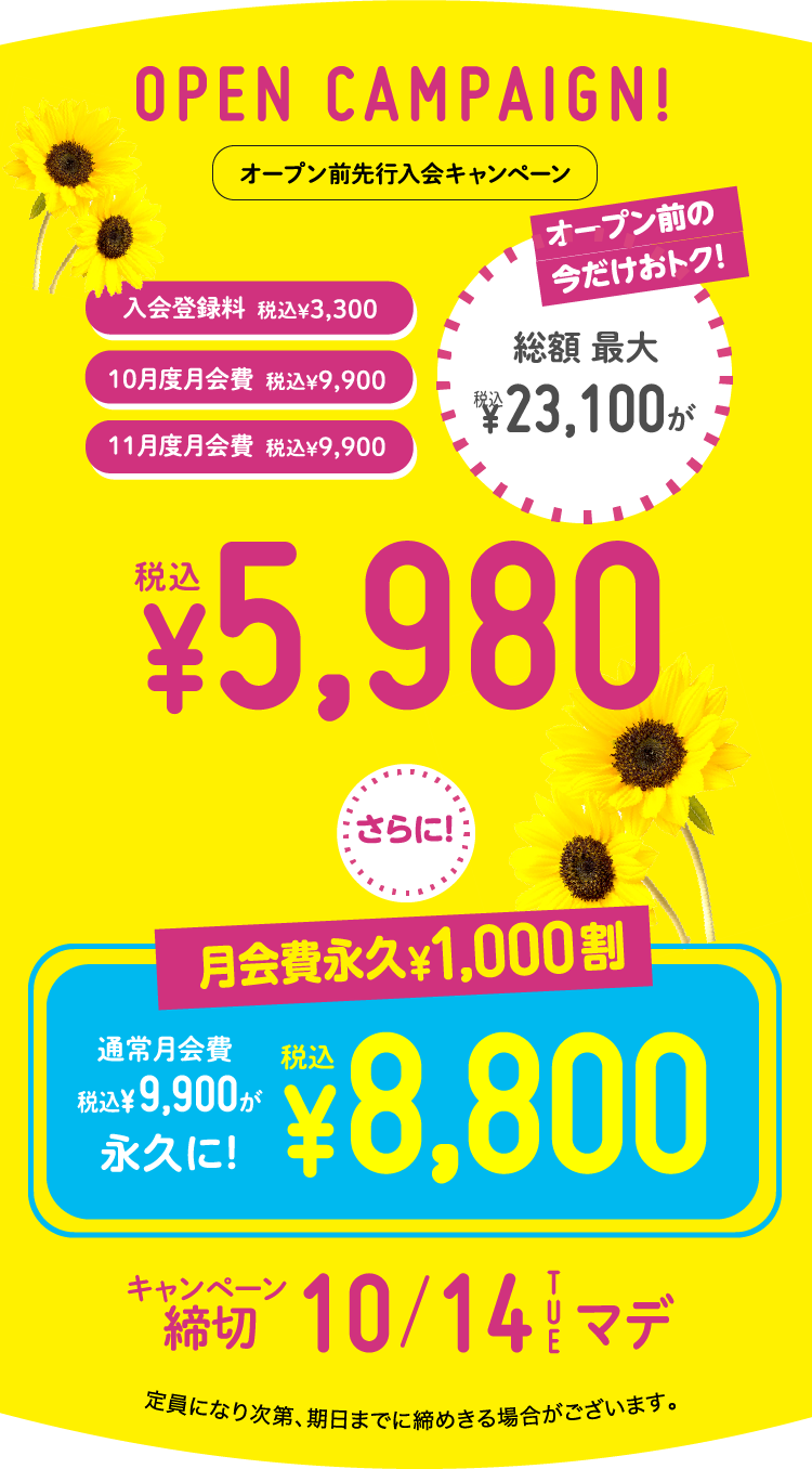OPEN CAMPAIGN!